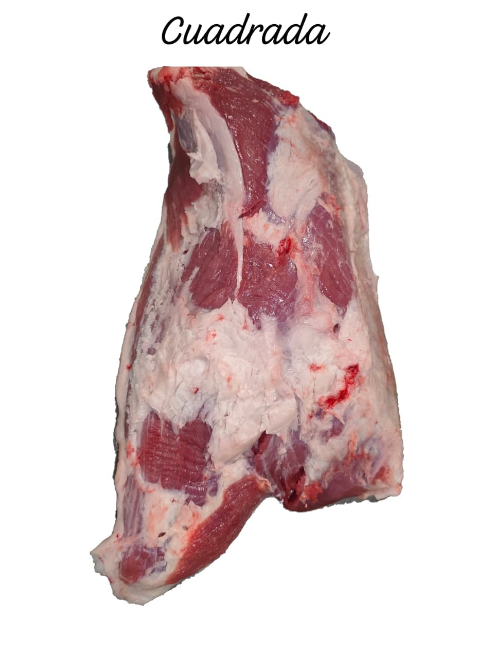 Cuadrada
